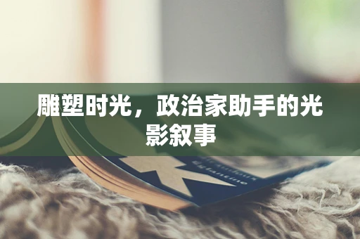雕塑时光，政治家助手的光影叙事