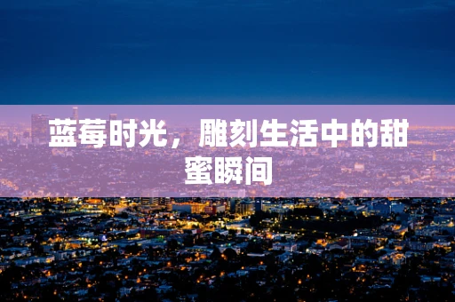 蓝莓时光，雕刻生活中的甜蜜瞬间