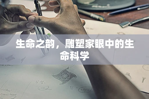 生命之韵，雕塑家眼中的生命科学
