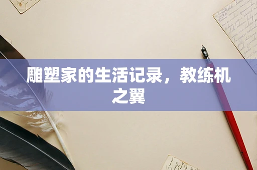 雕塑家的生活记录，教练机之翼
