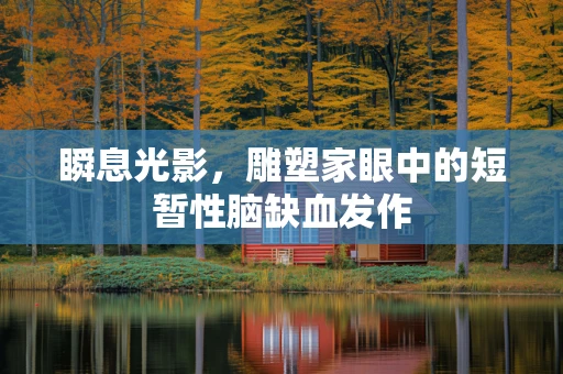 瞬息光影，雕塑家眼中的短暂性脑缺血发作