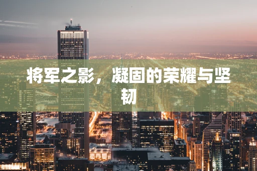 将军之影，凝固的荣耀与坚韧
