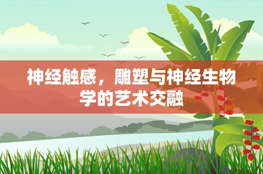 神经触感，雕塑与神经生物学的艺术交融