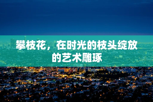 攀枝花，在时光的枝头绽放的艺术雕琢