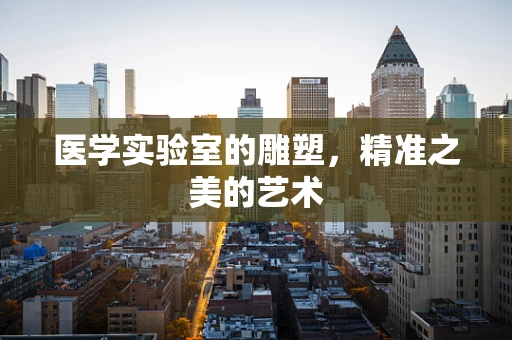 医学实验室的雕塑，精准之美的艺术