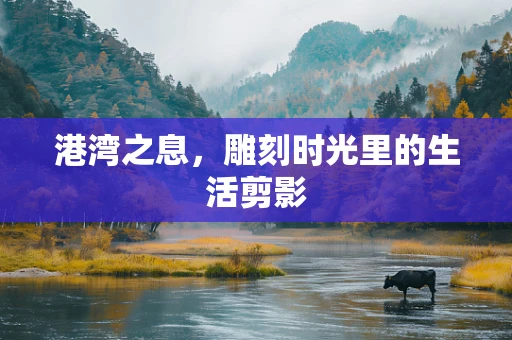 港湾之息，雕刻时光里的生活剪影