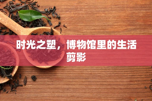 时光之塑，博物馆里的生活剪影