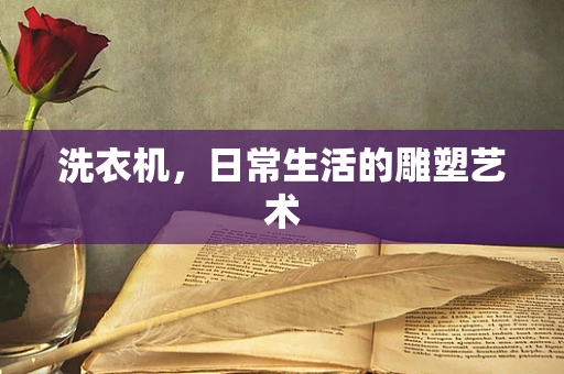 洗衣机，日常生活的雕塑艺术