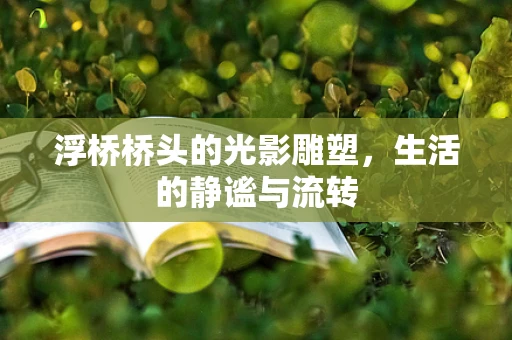 浮桥桥头的光影雕塑，生活的静谧与流转