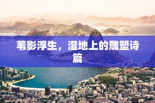 苇影浮生，湿地上的雕塑诗篇
