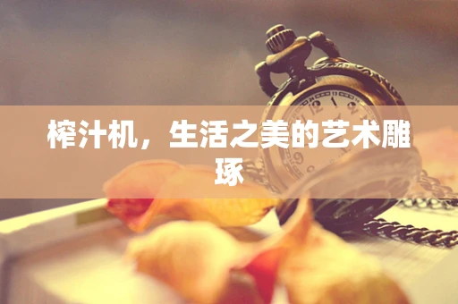 榨汁机，生活之美的艺术雕琢