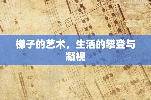 梯子的艺术，生活的攀登与凝视