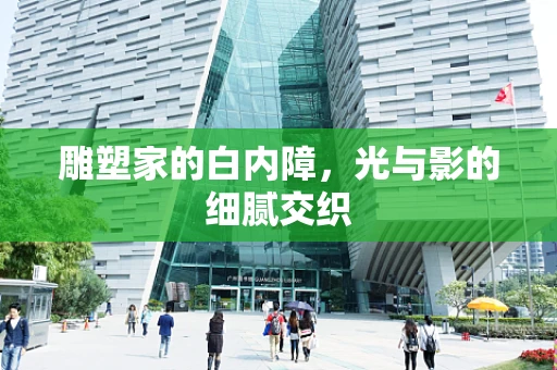 雕塑家的白内障，光与影的细腻交织