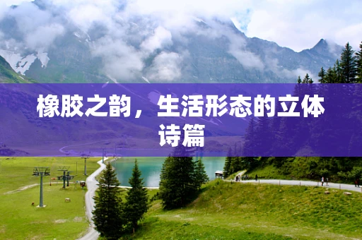 橡胶之韵，生活形态的立体诗篇