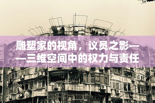 雕塑家的视角，议员之影——三维空间中的权力与责任