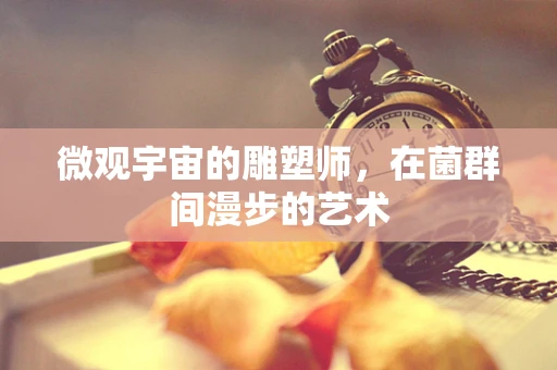 微观宇宙的雕塑师，在菌群间漫步的艺术