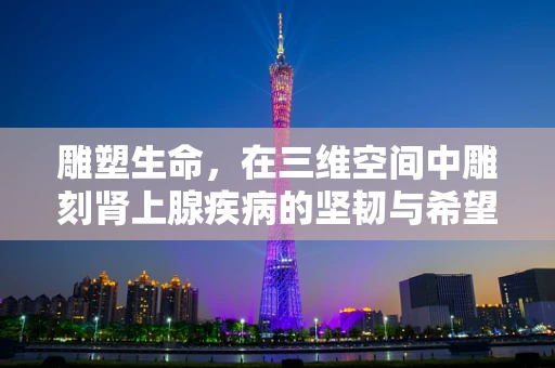 雕塑生命，在三维空间中雕刻肾上腺疾病的坚韧与希望