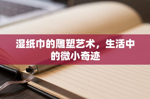 湿纸巾的雕塑艺术，生活中的微小奇迹