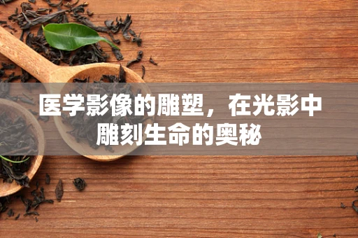 医学影像的雕塑，在光影中雕刻生命的奥秘