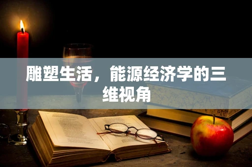 雕塑生活，能源经济学的三维视角