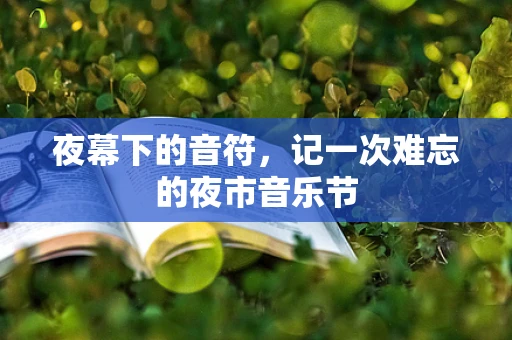 夜幕下的音符，记一次难忘的夜市音乐节
