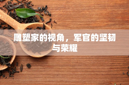 雕塑家的视角，军官的坚韧与荣耀