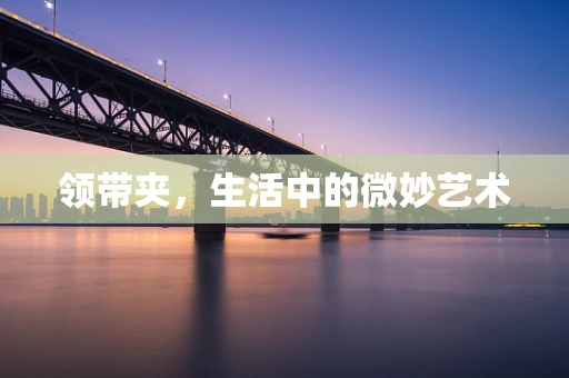 领带夹，生活中的微妙艺术