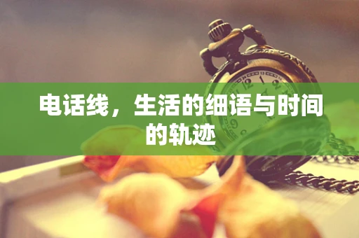 电话线，生活的细语与时间的轨迹