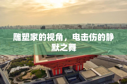雕塑家的视角，电击伤的静默之舞