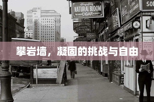 攀岩墙，凝固的挑战与自由