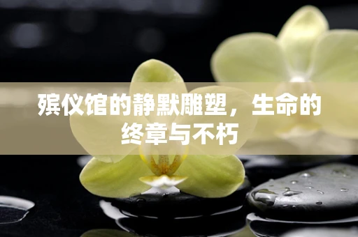 殡仪馆的静默雕塑，生命的终章与不朽