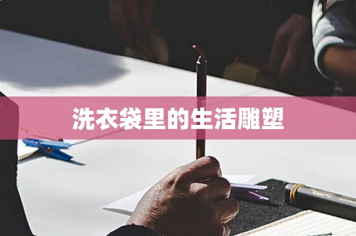 洗衣袋里的生活雕塑