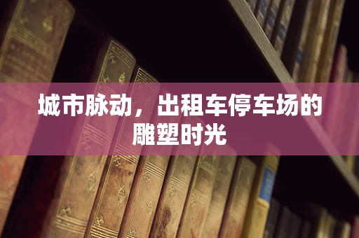 城市脉动，出租车停车场的雕塑时光