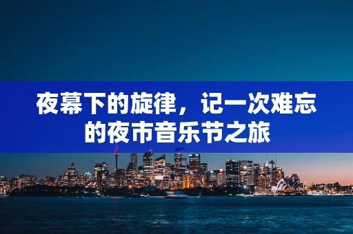 夜幕下的旋律，记一次难忘的夜市音乐节之旅