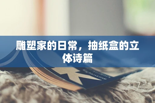 雕塑家的日常，抽纸盒的立体诗篇