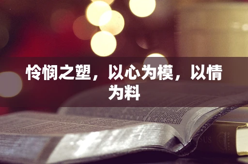 怜悯之塑，以心为模，以情为料