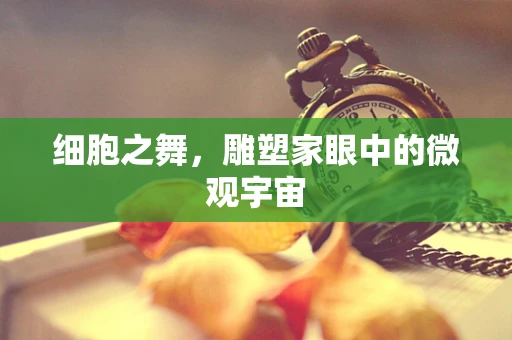 细胞之舞，雕塑家眼中的微观宇宙