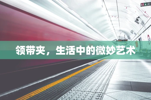 领带夹，生活中的微妙艺术