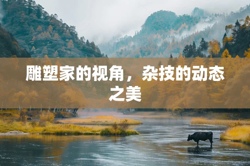 雕塑家的视角，杂技的动态之美