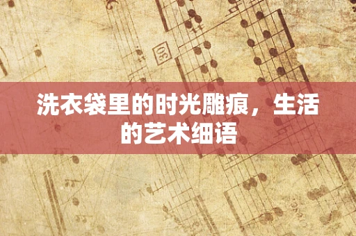 洗衣袋里的时光雕痕，生活的艺术细语