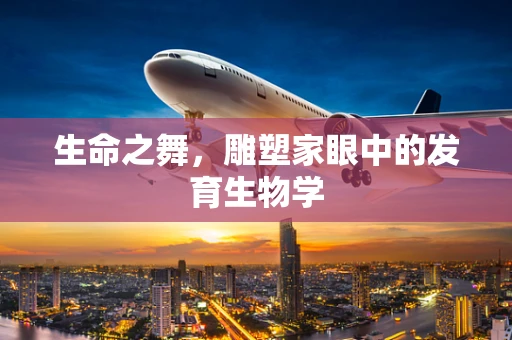 生命之舞，雕塑家眼中的发育生物学