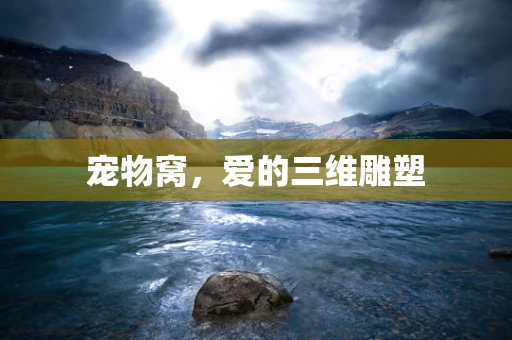 宠物窝，爱的三维雕塑