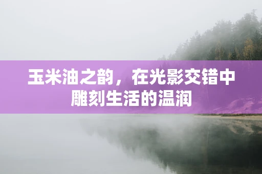 玉米油之韵，在光影交错中雕刻生活的温润