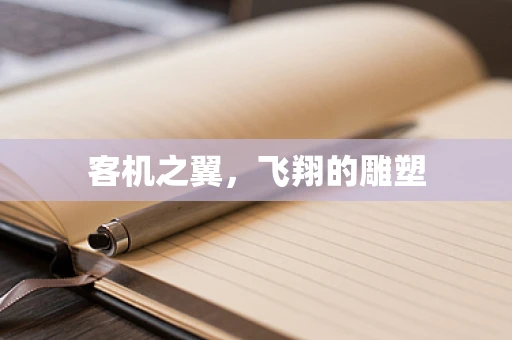客机之翼，飞翔的雕塑