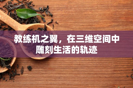 教练机之翼，在三维空间中雕刻生活的轨迹
