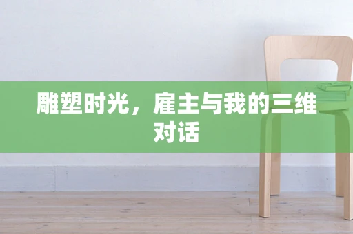 雕塑时光，雇主与我的三维对话