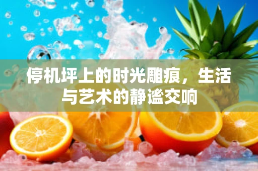 停机坪上的时光雕痕，生活与艺术的静谧交响
