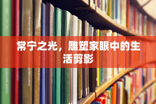 常宁之光，雕塑家眼中的生活剪影