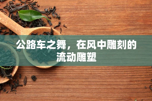 公路车之舞，在风中雕刻的流动雕塑