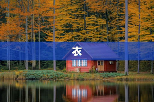 衣